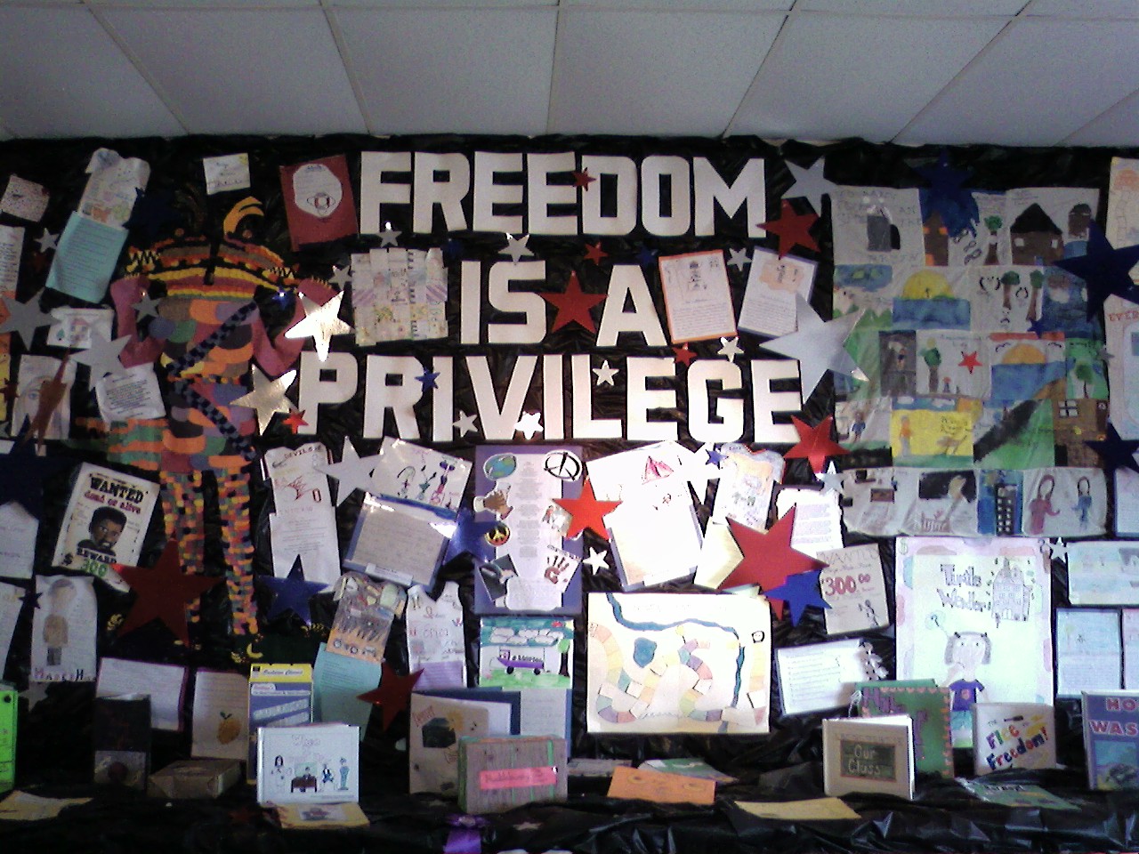 freedom is a privilege